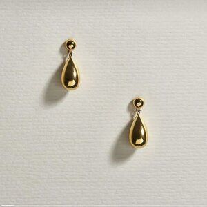 Titanium Steel Water Drop Earrings